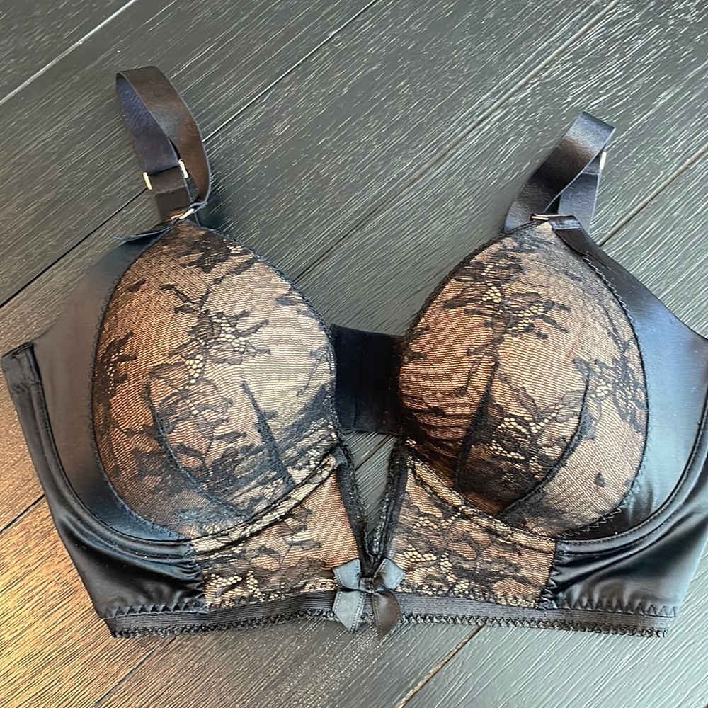 Never worn- Plunge Lace Black Bra - 36DD/E